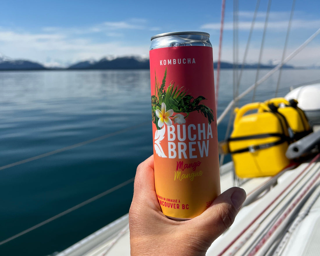 Bucha Brew—Sales Strategy, a Pandemic, and A Big Turnaround