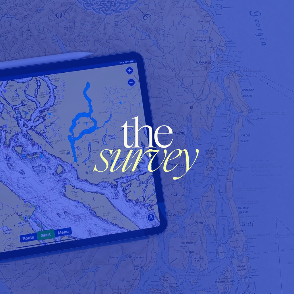 The Survey