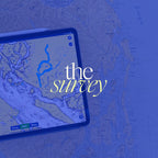 The Survey